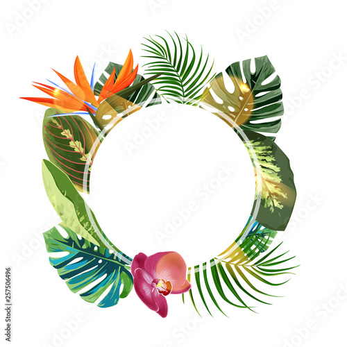 Tropical plants cicle design template. Bird of paradise, monstera, palm leaves composition with blan space.