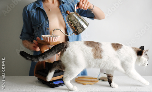 Beautiful girl in stretched shirt brewing coffee with ceramic origami dripper. White cat passes by. Faceless photo