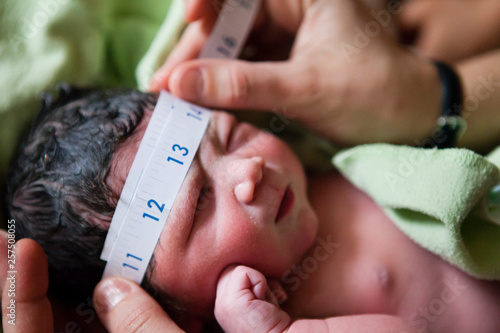 Midwife measuring newborn girl's head circumference photo