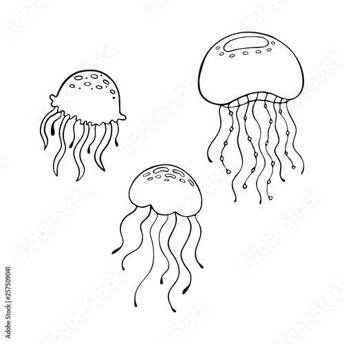 Vector hand drawn jellyfish. Ocean marine world. For children fashion and stationery, nursery, scrapbooking, home decor and textile, surface design.