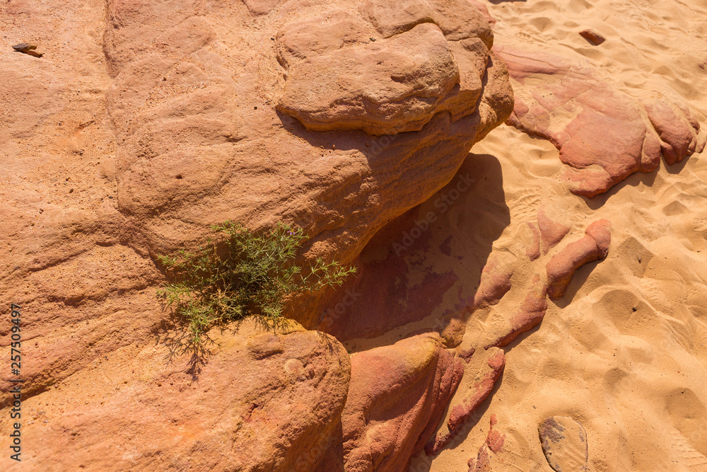 Obraz premium Coloured Canyon is a rock formation on South Sinai (Egypt) peninsula. Desert rocks of multicolored sandstone background. 