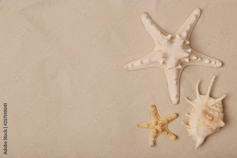 Starfishes and shell on beach sand, top view with space for text Starfishes and shell on beach sand, top view with space for text