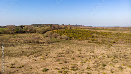 Aerial view of the New Forest National Park with heathland and forest under a majestic blue sky.