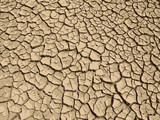 dry cracked soil