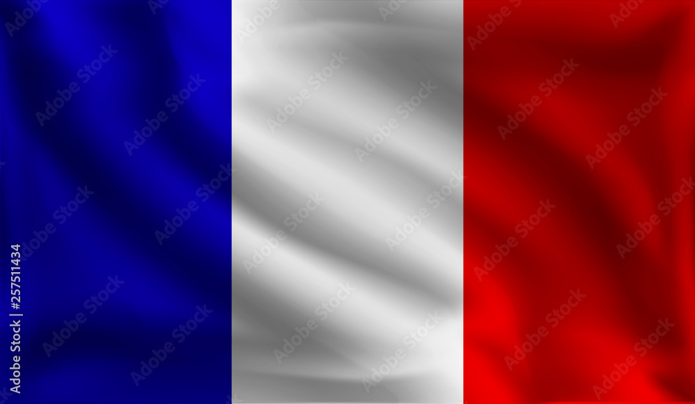 Waving France flag, the flag of France, vector illustration Waving France flag, the flag of France, vector illustration