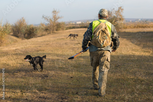 Hunters with a german drathaar and spaniel, pigeon hunting with dogs in reflective vests  © Mountains Hunter