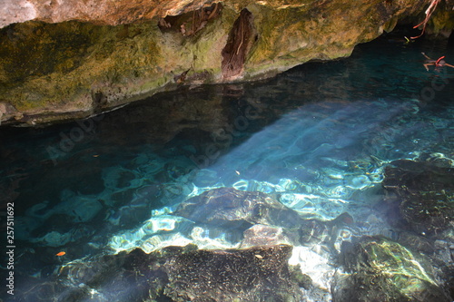 Gran Cenote Tulum Quintana Roo Mexique - Mexico