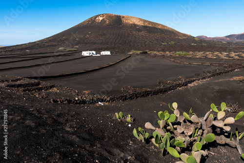 Unique panoramic view of volcanoes and vine yards with grape vines on volcanic lava sand at La Geria wine region  Lanzarote Canary Islands  Spain. The mountains of fire in the background