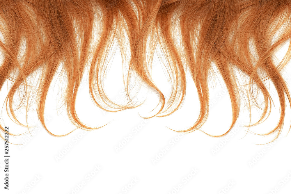 Red hair tips isolated on white background. Close-up