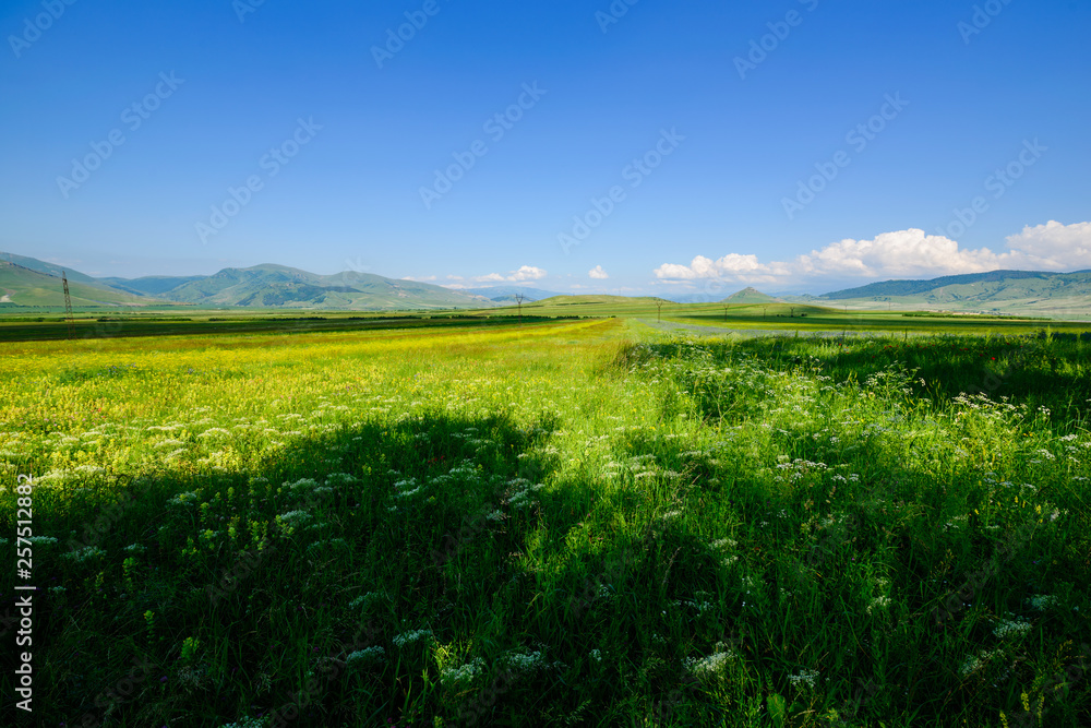 Obraz premium Beautiful field landscape