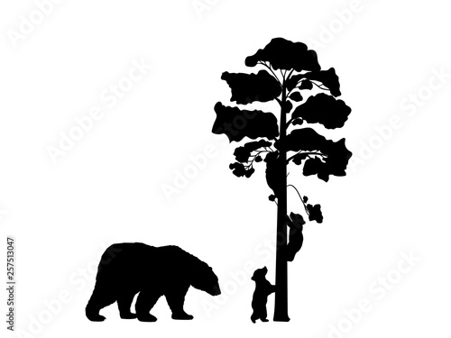 Two bear cubs climbing tree black silhouette animals. Vector Illustrator.  