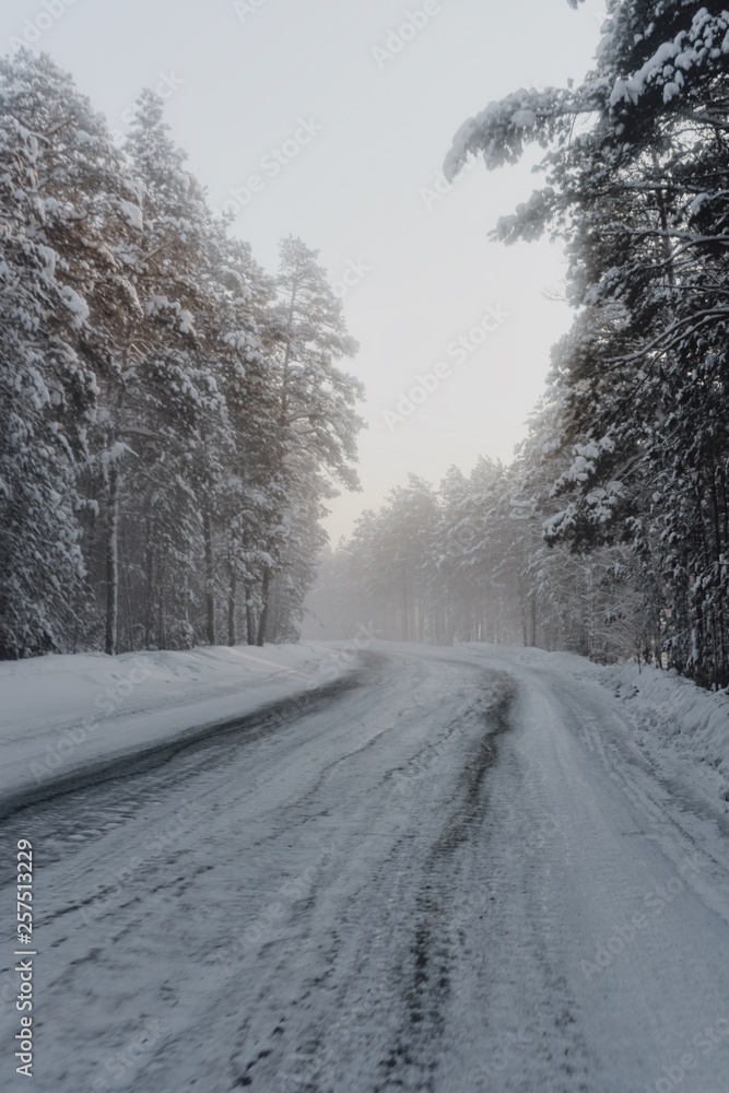 Obraz premium winter