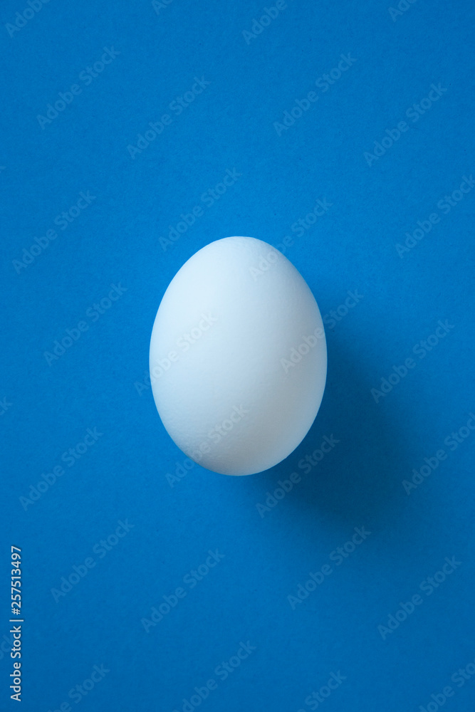 One single white egg on the bright blue background. White easter egg minimal composition. Easter symbol. One single white egg on the bright blue background. White easter egg minimal composition. Easter symbol.