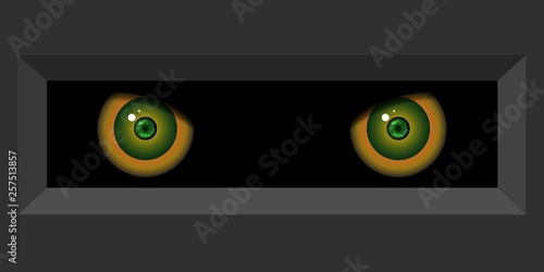 Attentive, piercing eyes. Permanent control and attention.