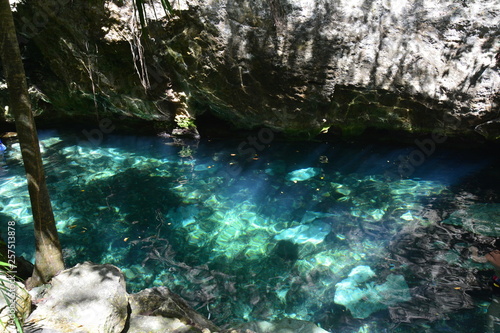 Cenote Azul Quintana Roo Mexique - Blue Cenote Mexico