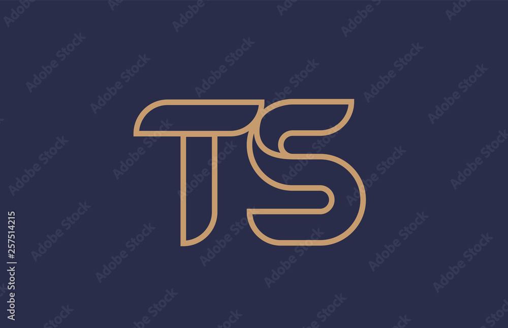 brown blue line alphabet letter TS T S logo combination company icon design brown blue line alphabet letter TS T S logo combination company icon design