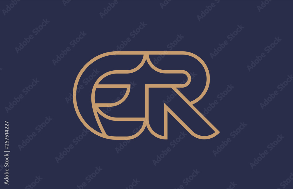 brown blue line alphabet letter ER E R logo combination company icon design