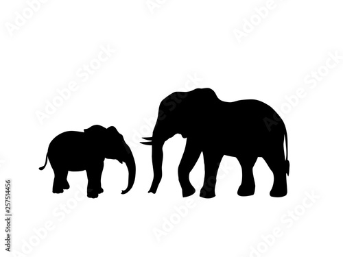 Elephant and Elephant calf mammal black silhouette animal. Vector Illustrator
