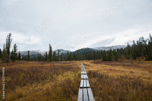 path to the unknown mountains of Ergaki National Park, Siberia