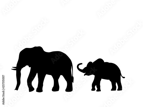 Elephant and Elephant calf mammal black silhouette animal. Vector Illustrator