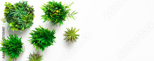Mini plants in pots on white background