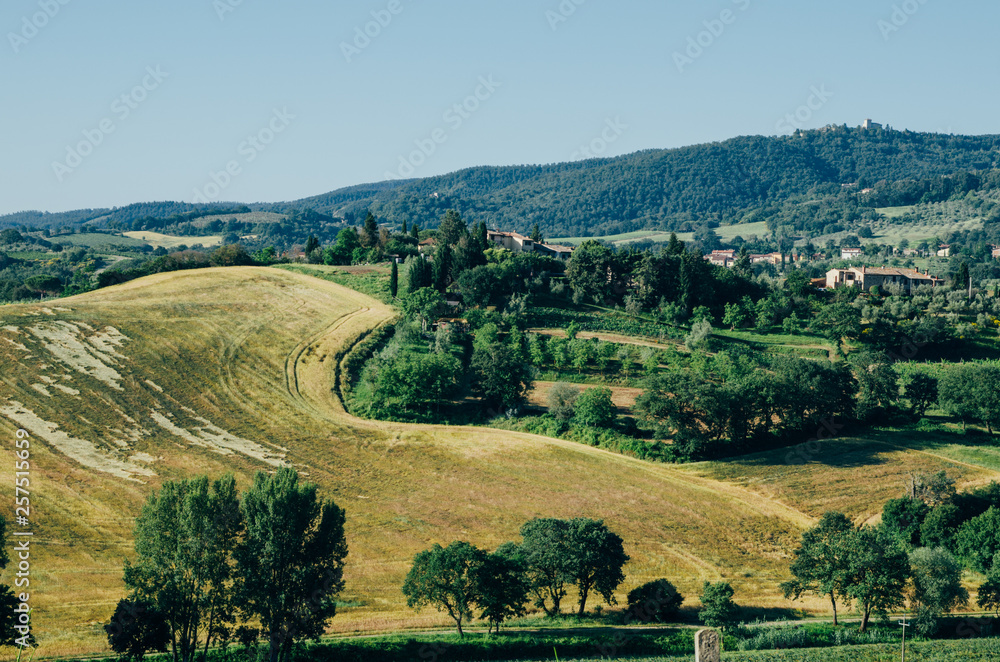 fields of italy, village, trees