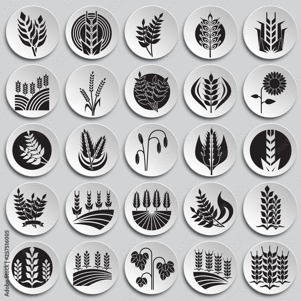 Cereal icons set on plates background for graphic and web design. Simple vector sign. Internet concept symbol for website button or mobile app. Cereal icons set on plates background for graphic and web design. Simple vector sign. Internet concept symbol for website button or mobile app.