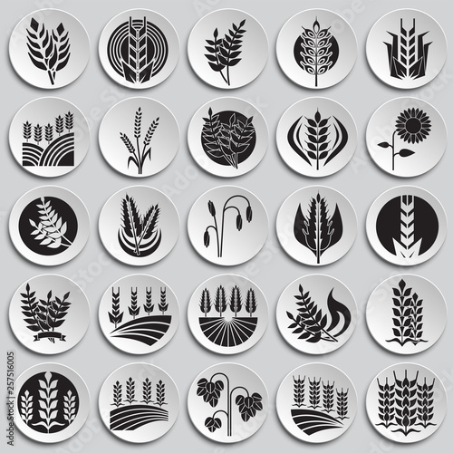 Cereal icons set on plates background for graphic and web design. Simple vector sign. Internet concept symbol for website button or mobile app.