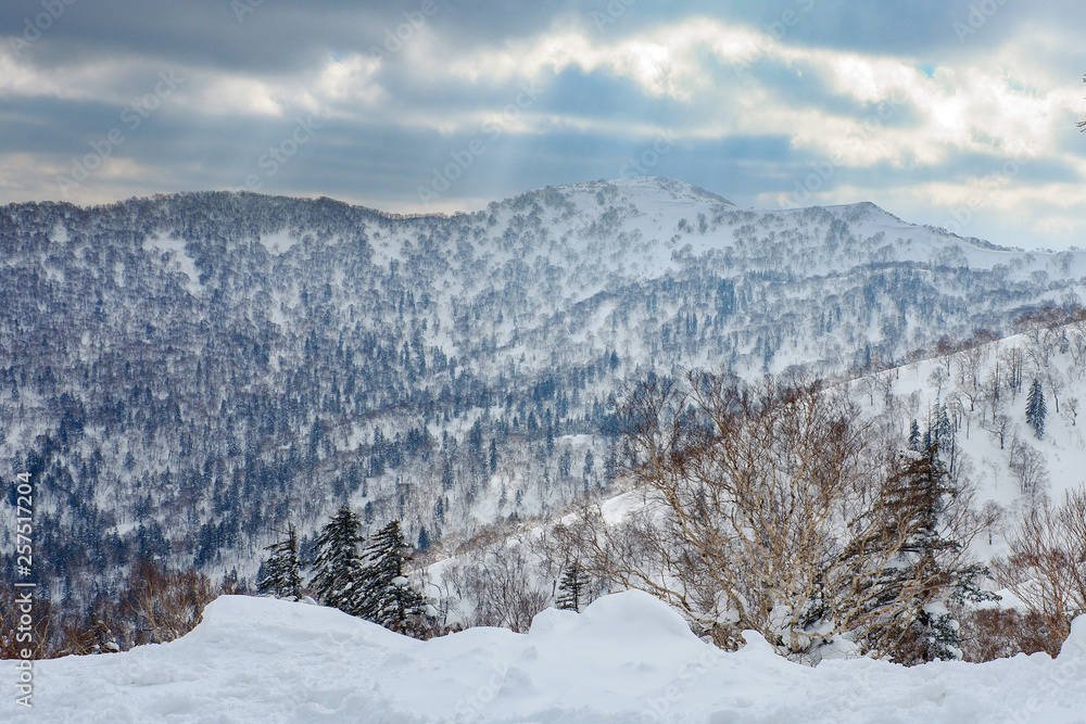 Beautiful view from snow covered moutain at Sapporo Kokusai, Japan.