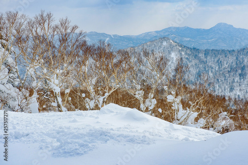 Beautiful view from snow covered moutain at Sapporo Kokusai, Japan. photo