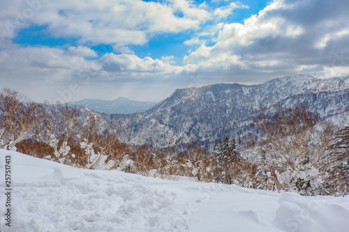 Beautiful view from snow covered moutain at Sapporo Kokusai, Japan. © wattanapong