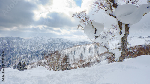 Beautiful view from snow covered moutain at Sapporo Kokusai, Japan.