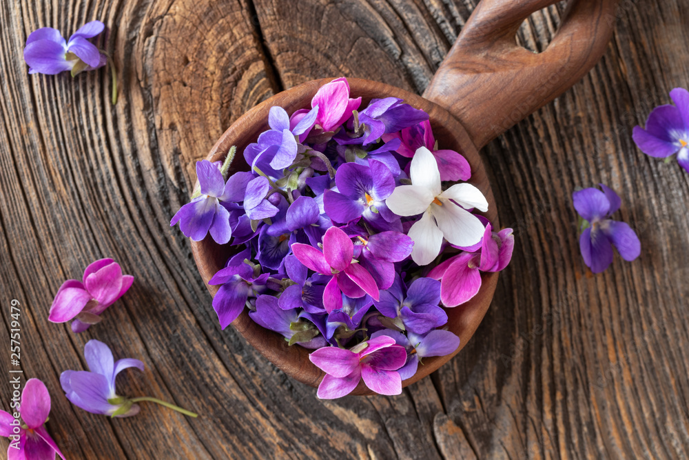 Wood violet flowers on a spoon, top view Wood violet flowers on a spoon, top view