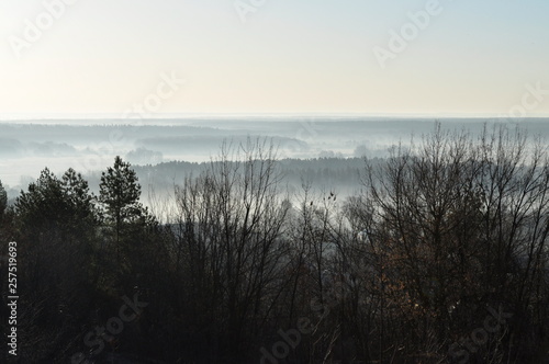 Morning fog. © Александр Рыбак
