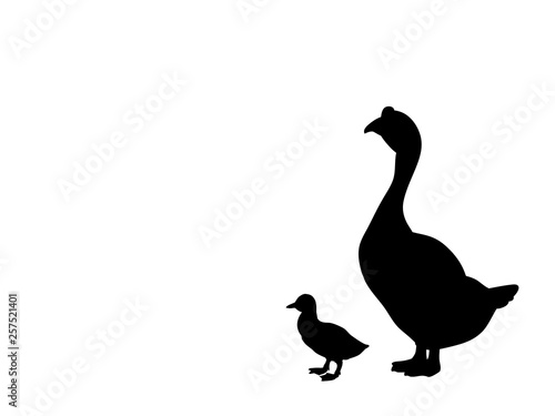 Goose and gosling bird black silhouette animal. Vector Illustrator.