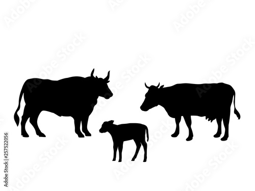 Ox cow calf farm mammal black silhouette animal. Vector Illustrator.