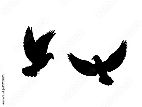 Pigeons bird  black silhouette animal. Vector Illustrator.