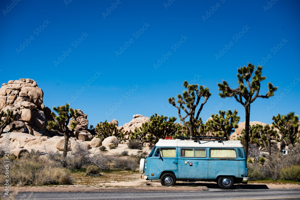 travel van in desert