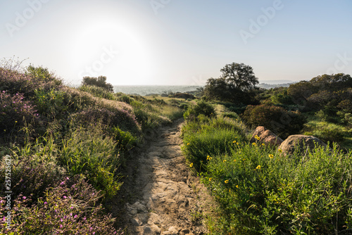 Spring meadow hiking trail ...