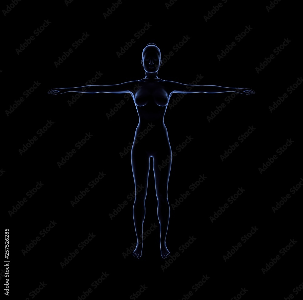 Woman Nude Body Anatomy on Black. 3D Rendering