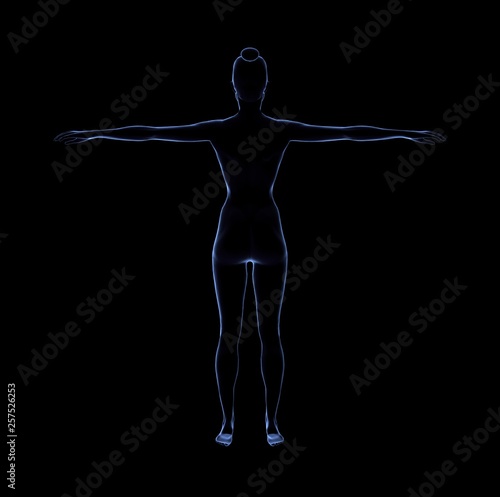 Woman Nude Body Anatomy on Black. 3D Rendering