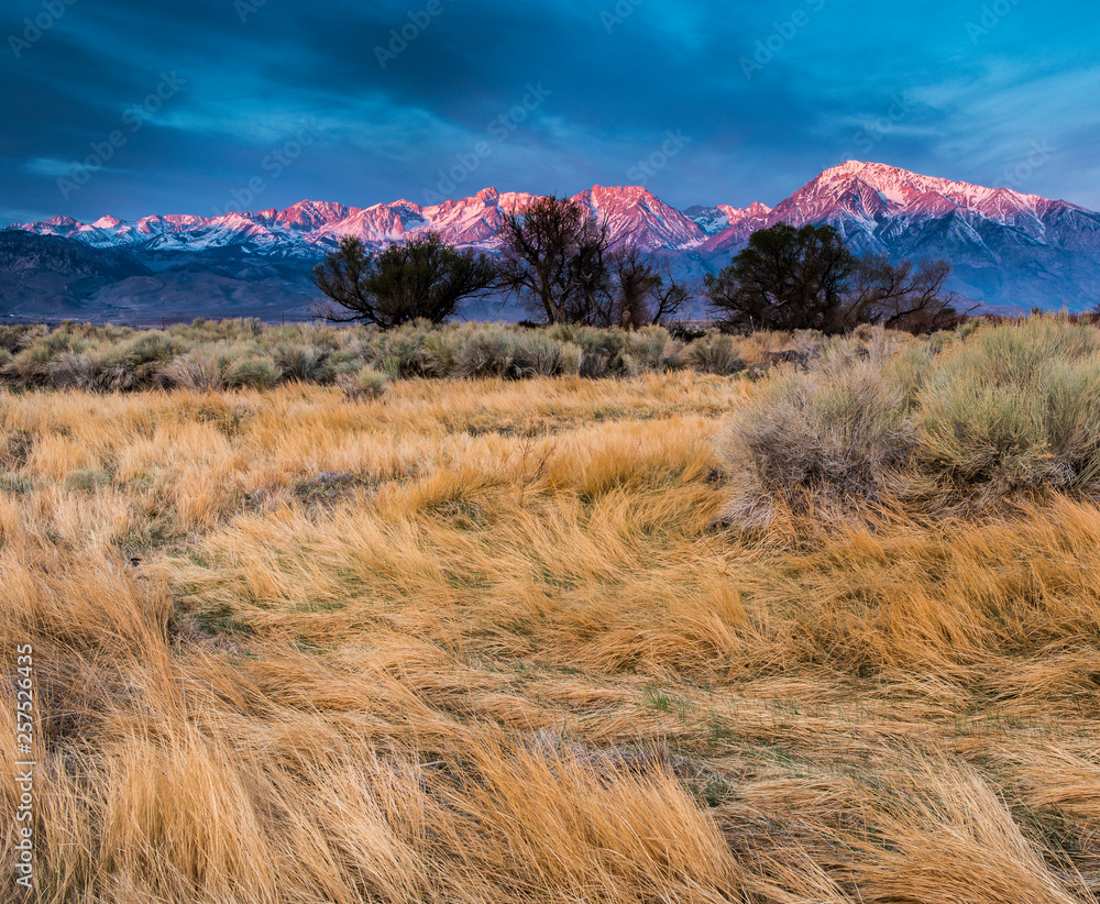 Sunrise on Mount Tom and Basin Mountain Stock Photo Adobe Stock