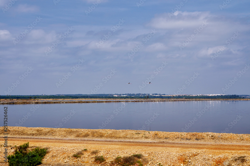 Landscape of the Las Marismas Del Odiel - the natural area where wild flamingos flock occur for whole year, Andalucia, Spain