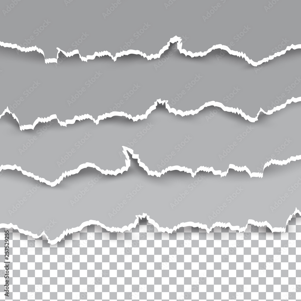 Realistic hole torn in paper with shadows isolated on transparent. Vector background Realistic hole torn in paper with shadows isolated on transparent. Vector background