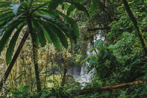 Waterfalls in the Aberdare Ranges, Kenya