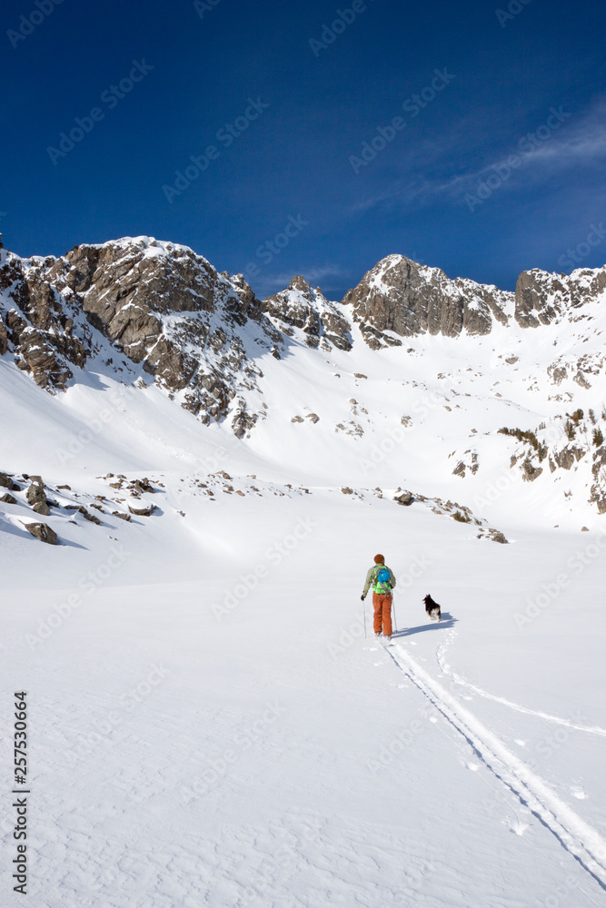 A male backcountry skier and his dog skin through fresh snow in the Beehive Basin near Big Sky, Montana. A male backcountry skier and his dog skin through fresh snow in the Beehive Basin near Big Sky, Montana.