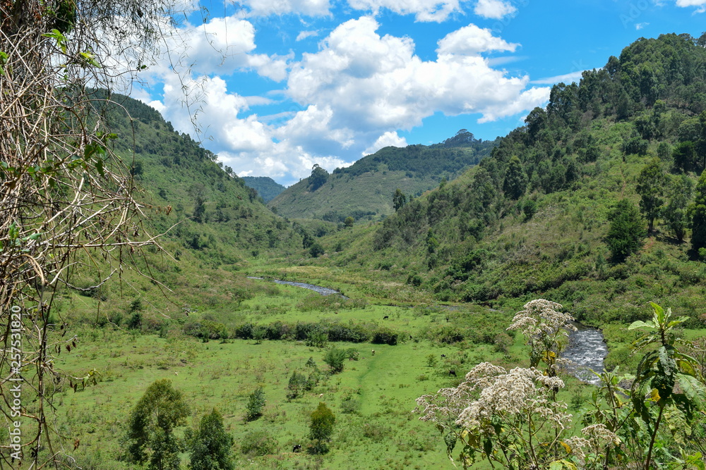 Chania River in Nyeri County, Kenya