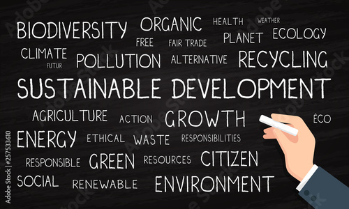 Sustainable development, environment, ecology - word cloud - chalk and blackboard