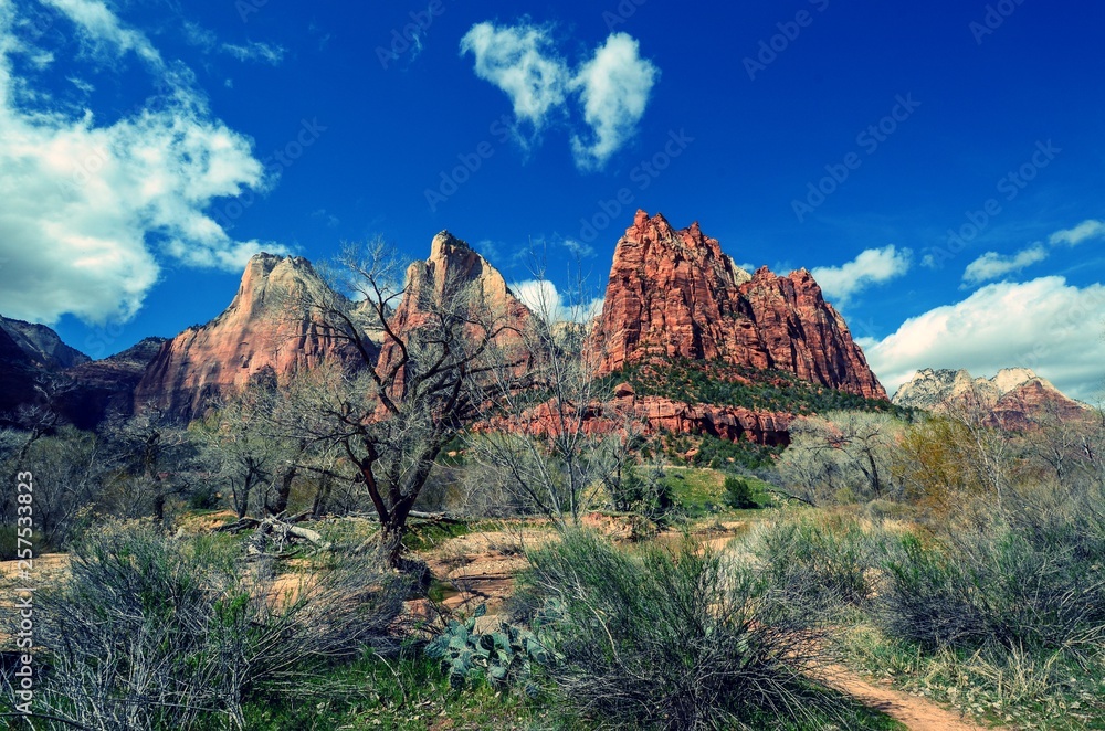 Zion National Park Utah rich blue sky with early spring trees
