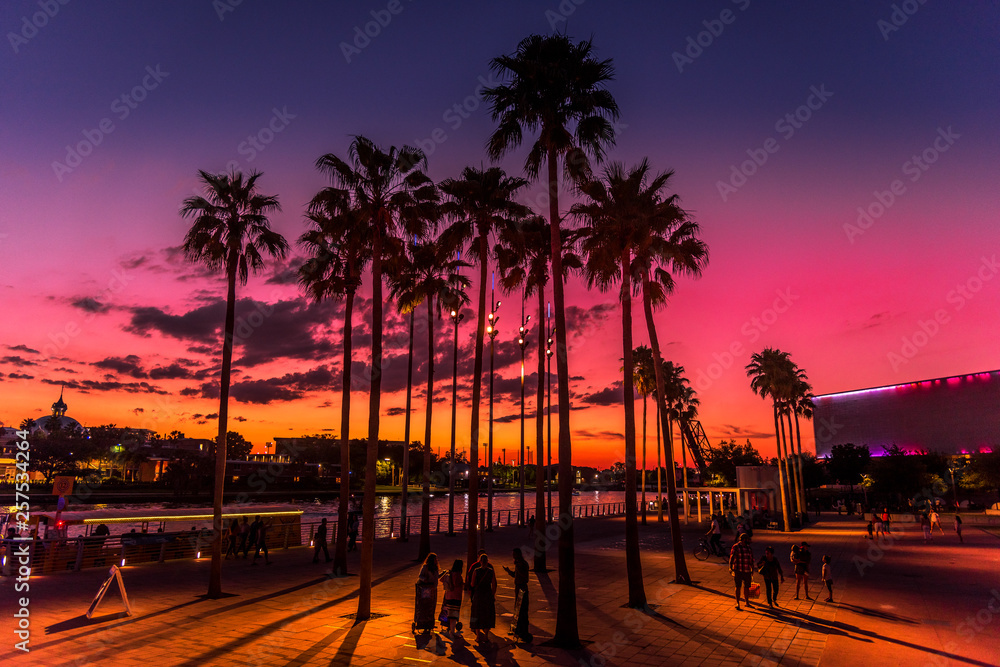 Obraz premium Pink city sunset